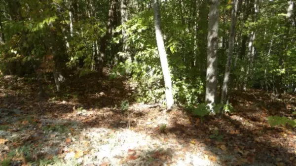 Sparta, TN 38583,Lot 2 Inland Court