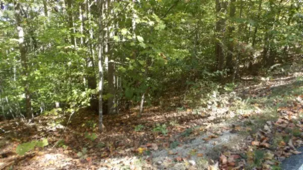 Sparta, TN 38583,Lot 2 Inland Court