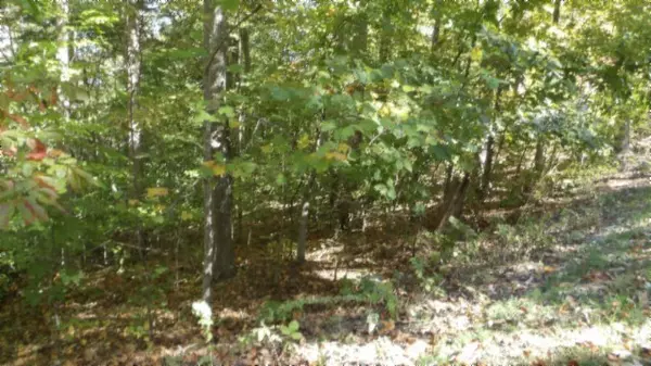 Sparta, TN 38583,Lot 2 Inland Court