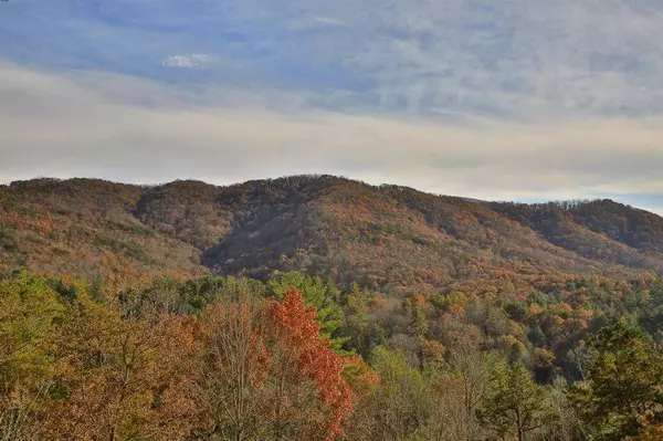 Blue Ridge, GA 30513,367 Laurel Mountain Road