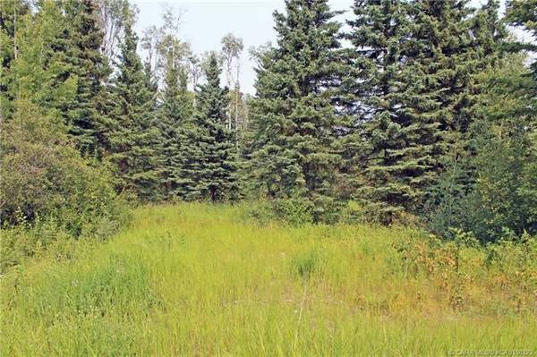 Rural Clearwater County, AB T4T 2A4,4 Forrest Close