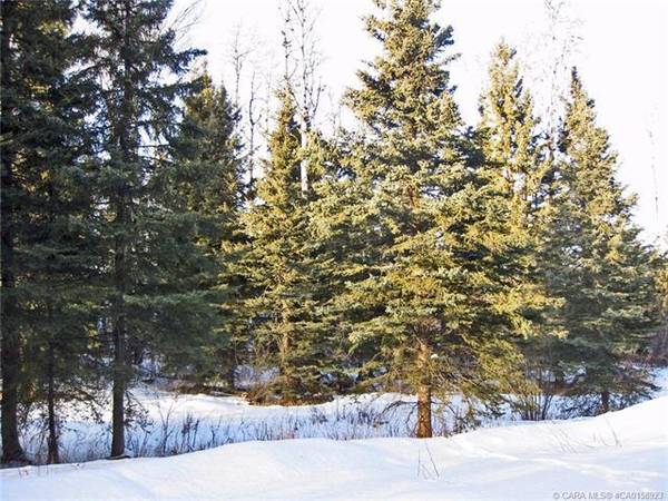 Rural Clearwater County, AB T4T 2A4,4 Forrest Close