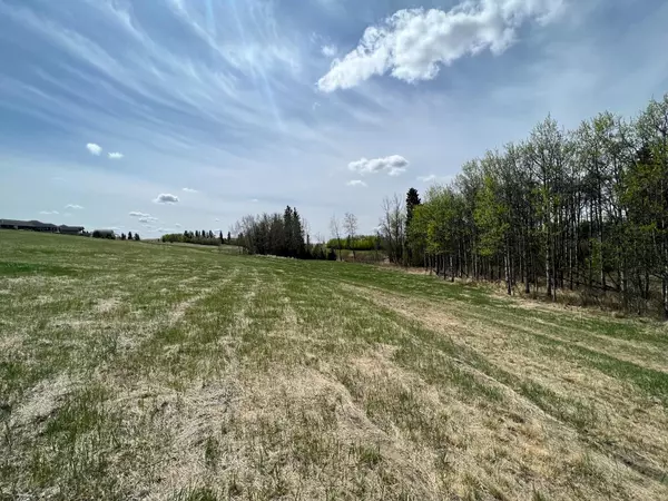 Rural Ponoka County, AB T4J 1R3,143 Wolf Run DR