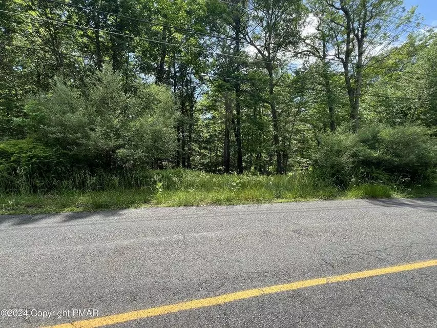 Pike County, PA 18324,Lot 151 Pocono Mountain Lake Drive