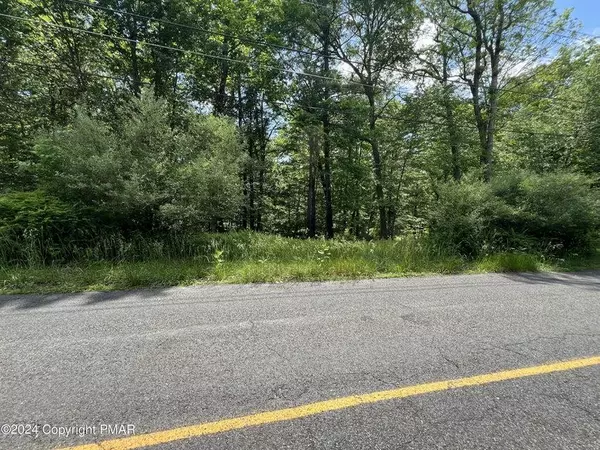 Lot 151 Pocono Mountain Lake Drive, Pike County, PA 18324