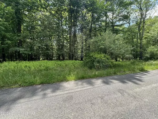 Pike County, PA 18324,Lot 151 Pocono Mountain Lake Drive