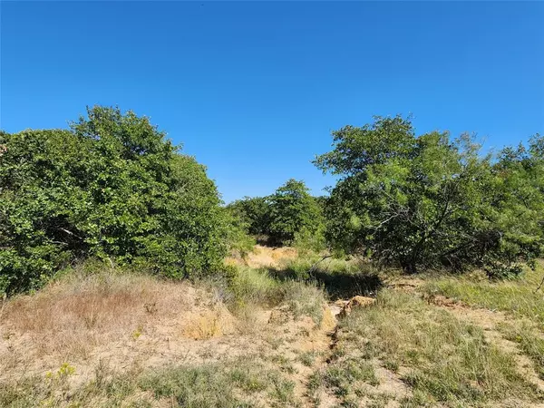 Cross Plains, TX 76443,TBD CR 445