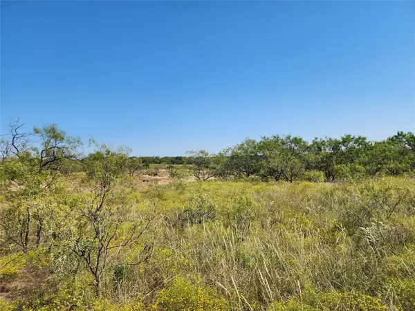 Cross Plains, TX 76443,TBD CR 445