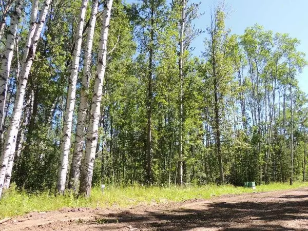 Lot #20 Wapiti River SW-21-69-10-W6, Rural Grande Prairie No. 1 County Of, AB T0h 1J0