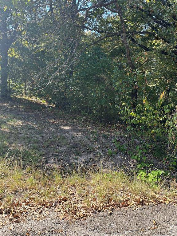 Wills Point, TX 75169,TBD Northview Drive