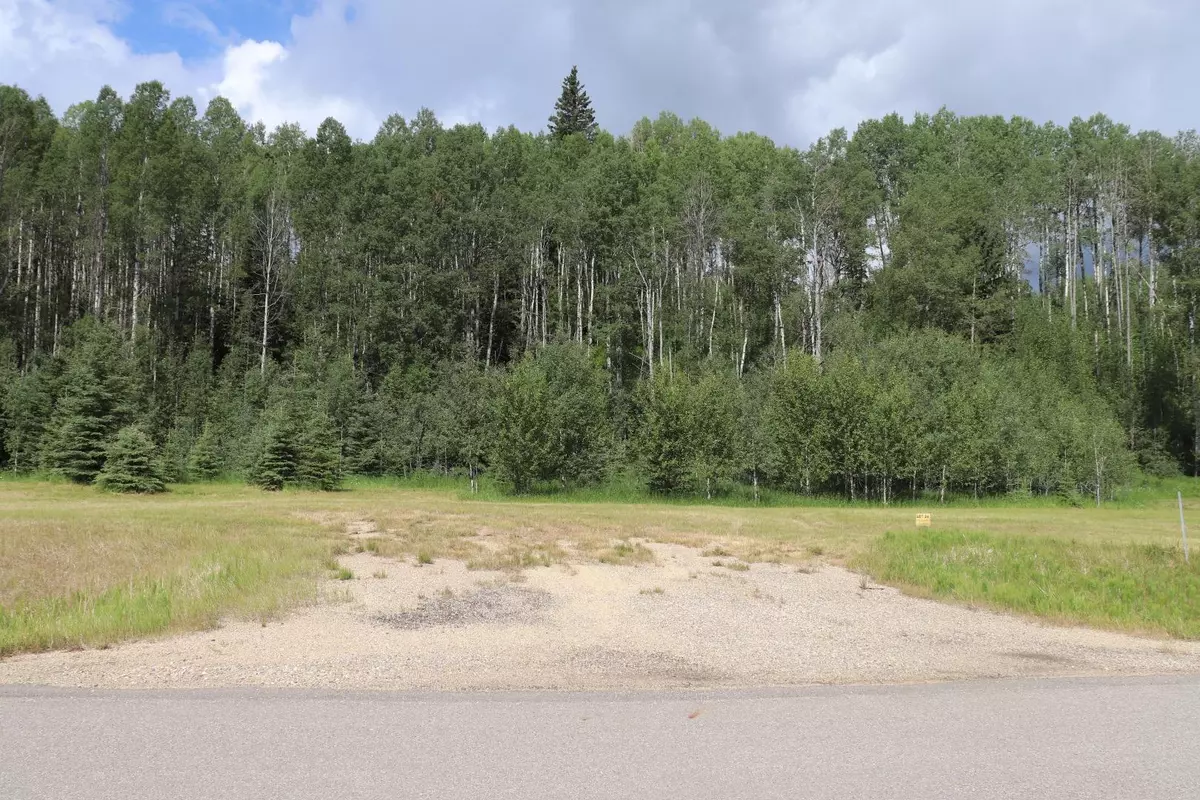 Rural Yellowhead County, AB T7E 3A6,165111 Township Road 532A Subdivision #24