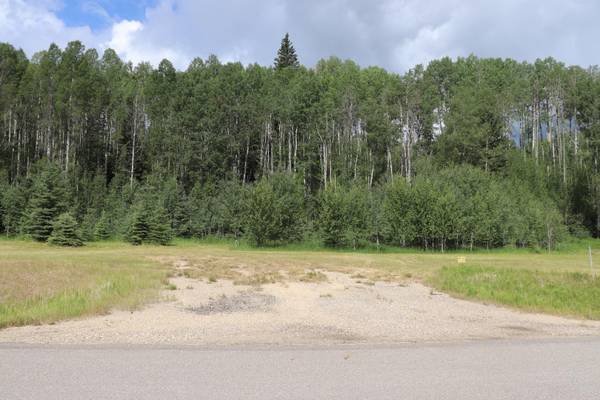 165111 Township Road 532A Subdivision #24, Rural Yellowhead County, AB T7E 3A6