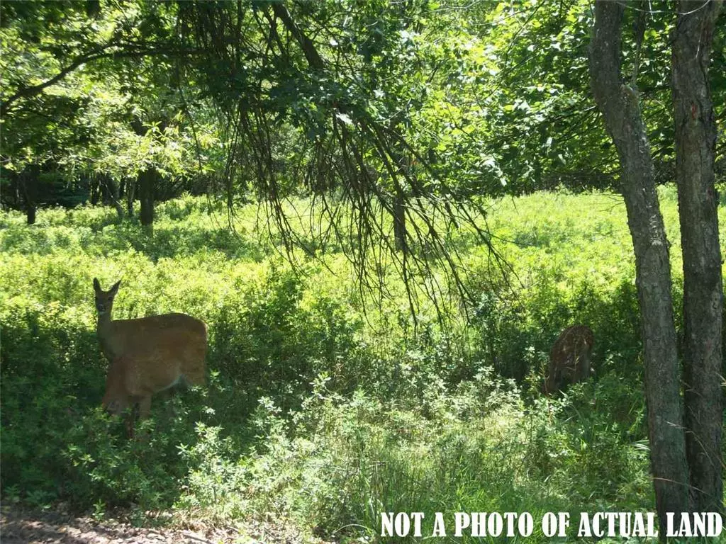 Penn Forest Township, PA 18210,1533 Towamensing Trail