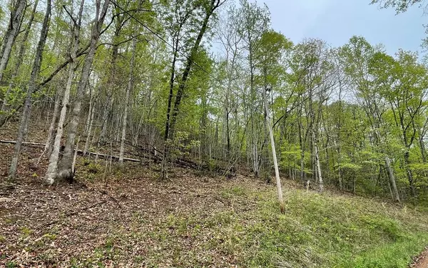 Lot 31 Nelson Ridge, Hayesville, NC 28904