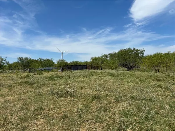 Mount Calm, TX 76673,0 LCR 102