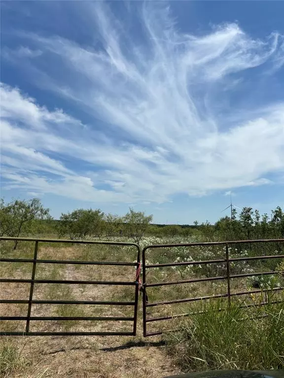 Mount Calm, TX 76673,0 LCR 102