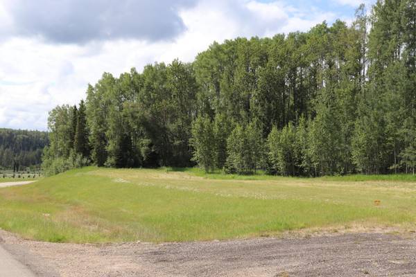 Rural Yellowhead County, AB T7E 3A6,16511 Township Road 532A Subdivision #22