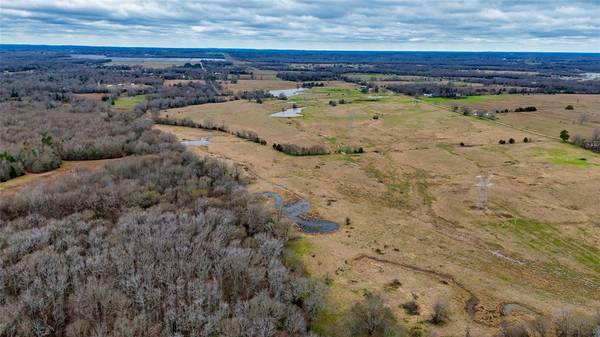 TBD Tract 3 CR 4503, Ben Wheeler, TX 75754