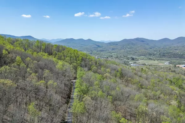 Young Harris, GA 30582,Lot 88 Rocky Knob Estates