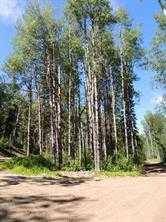 Lot #7 Wapiti River SW-21-69-10-W6, Rural Grande Prairie No. 1 County Of, AB T0H 1J0