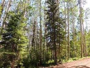 Lot #10 Wapiti River SW-21-69-10-W6, Rural Grande Prairie No. 1 County Of, AB T0H 1J0