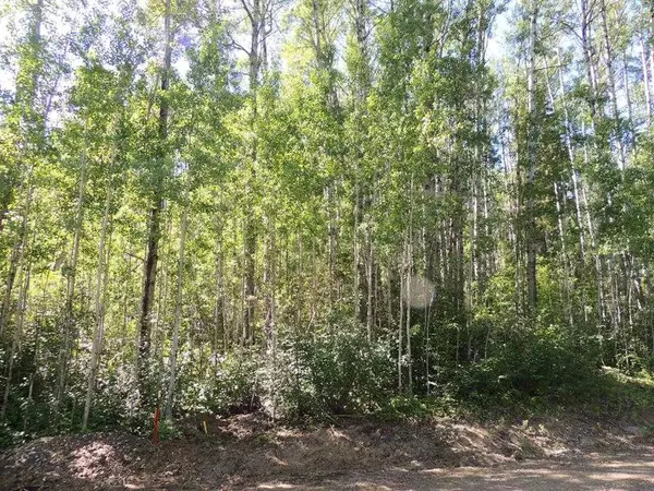 Lot #11 Wapiti River SW-21-69-10-W6, Rural Grande Prairie No. 1 County Of, AB T0H 1J0