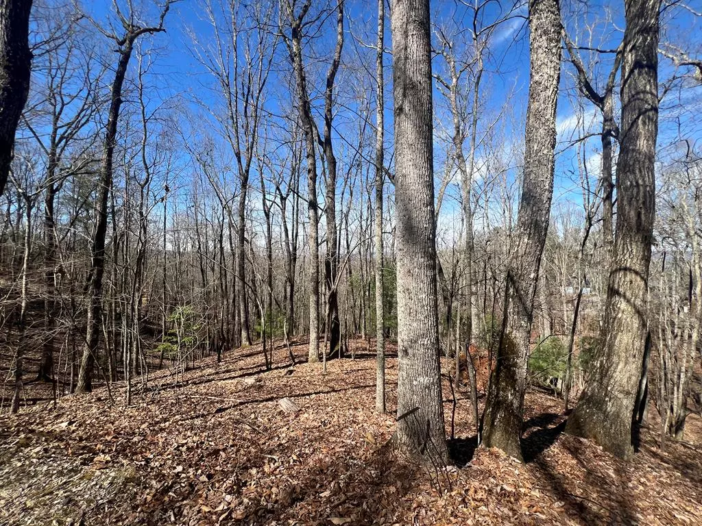 Murphy, NC 28906,Lot 7 Mountain Drive