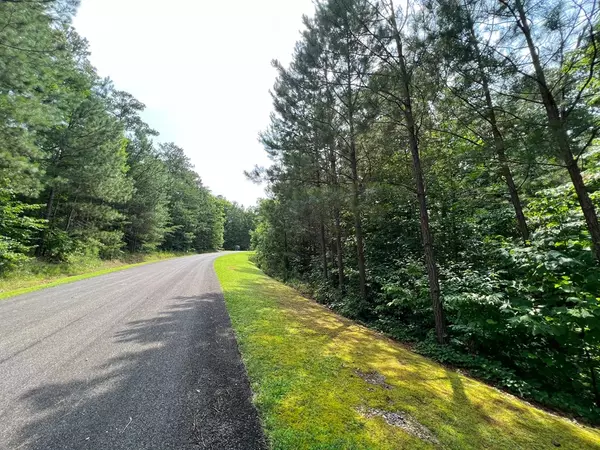 Ellijay, GA 30540,Lot 4 Harris Creek Drive