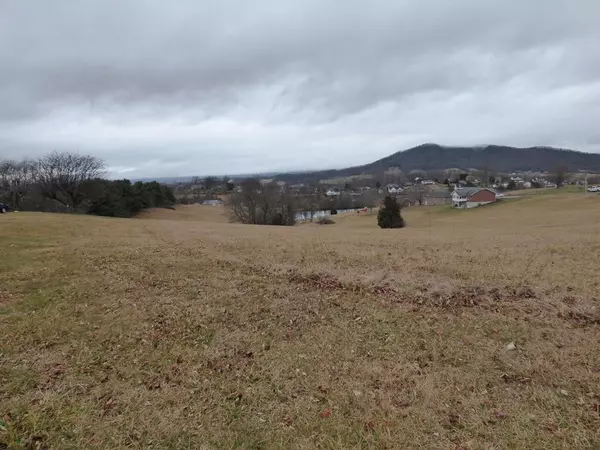 TBD Lot 9 Holston Road, Wytheville, VA 24382