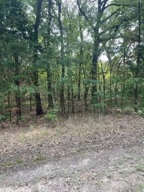 Trinidad, TX 75163,TBD Driftwood Drive