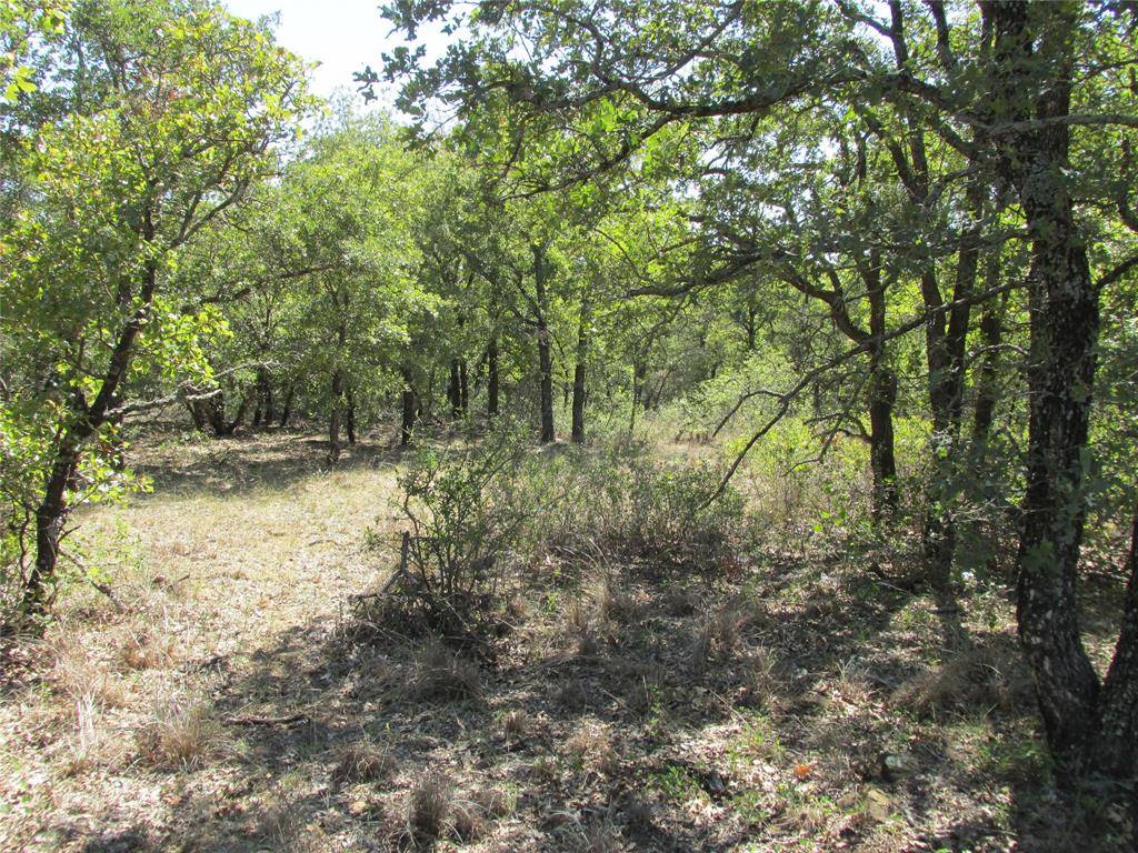 Jacksboro, TX 76458,TBD Sunset Lane