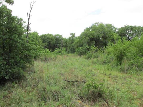 Jacksboro, TX 76458,TBD Sunset Lane