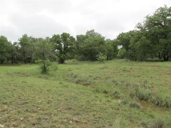 Jacksboro, TX 76458,TBD Sunset Lane