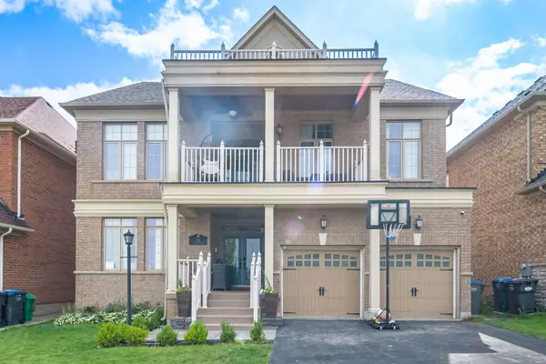 14 Dalmeny DR #(Bsmt), Brampton, ON L6X 0W6