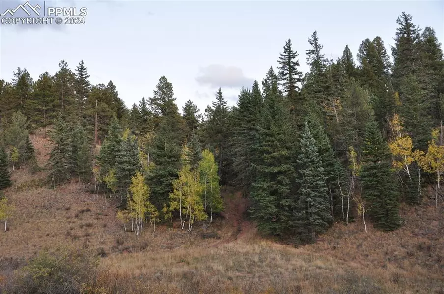 1676 Pathfinder RD, Florissant, CO 80816