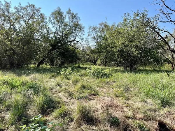 Lawn, TX 79530,TBD County Road 175