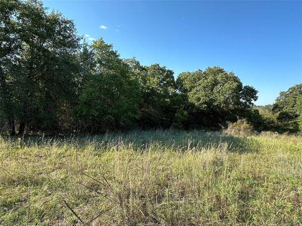 217 County Road 255, Rising Star, TX 76471