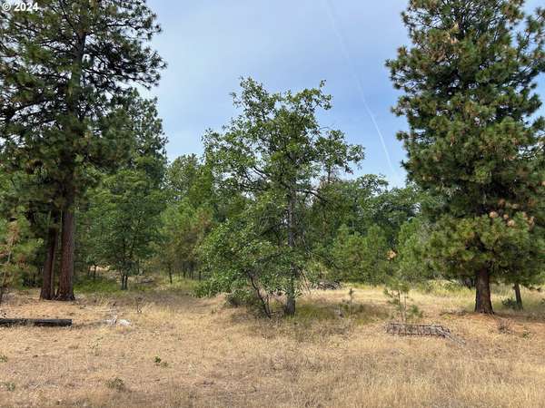 Bickleton, WA 99322,Timber DR