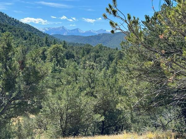 Lot 9 Sundance Road, Cotopaxi, CO 81223