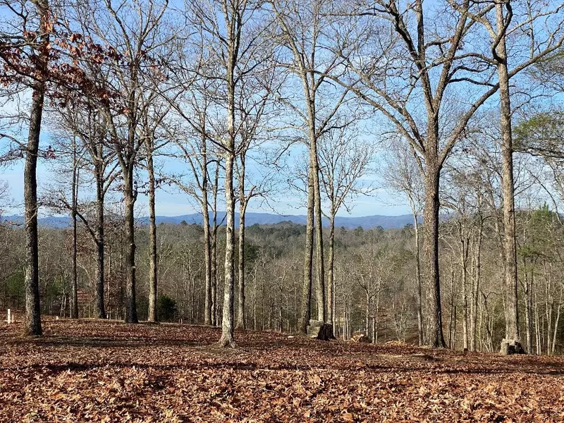 Mineral Bluff, GA 30559