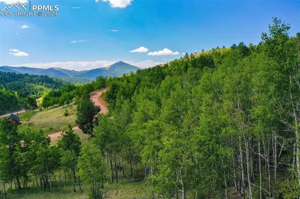 Cripple Creek, CO 80813,1300 Golden Cycle CIR