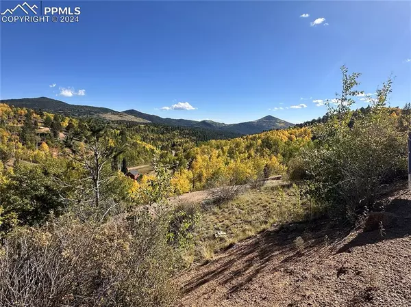 Cripple Creek, CO 80813,1300 Golden Cycle CIR