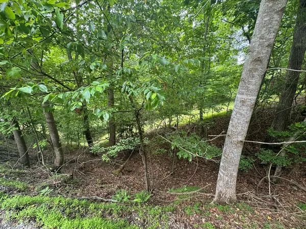 Ellijay, GA 30540,Lot 468 Cherokee Court