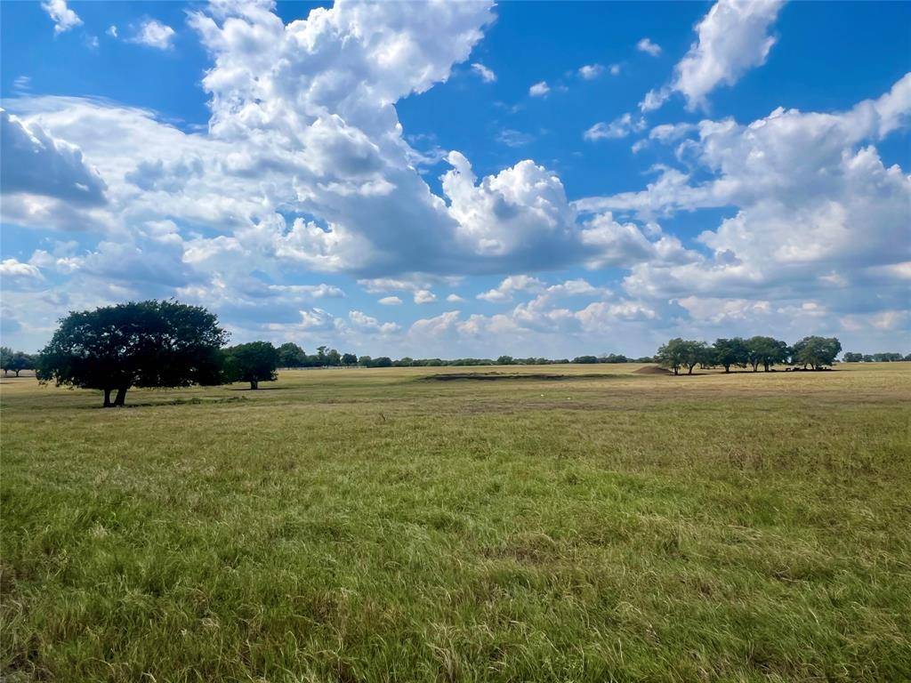 Waxahachie, TX 75167,TBD 30 acres FM 1446