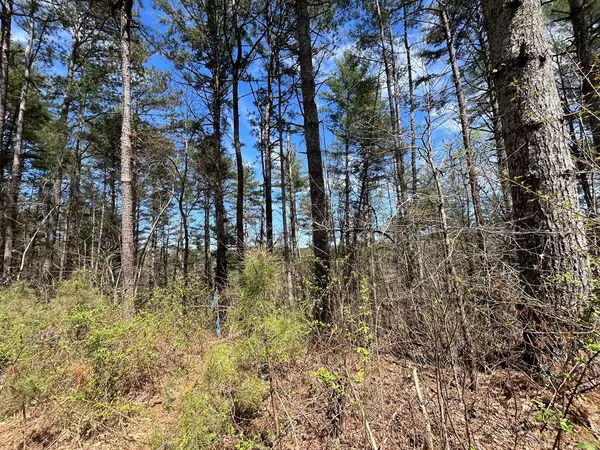 LOT 131 Jumper Drive, Ellijay, GA 30540