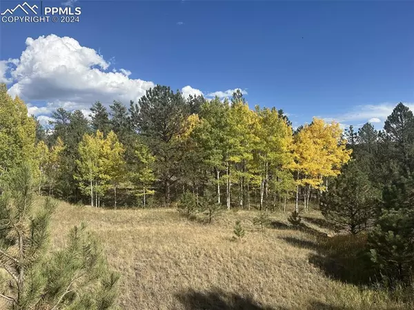 Florissant, CO 80816,124 Shavano CIR