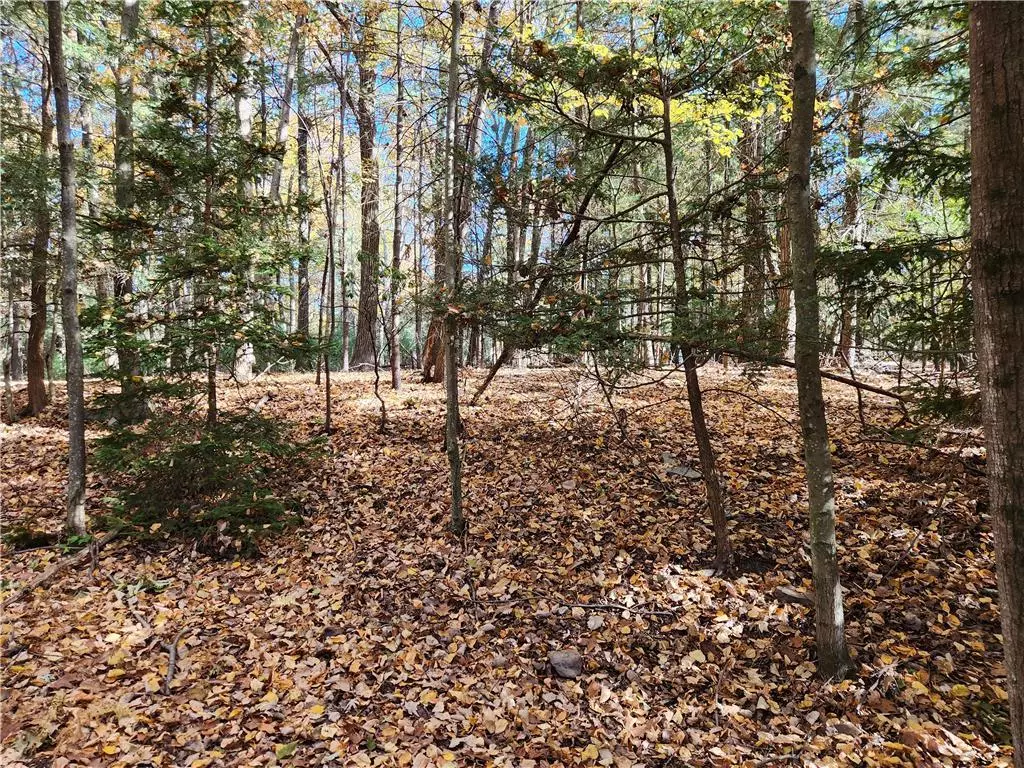 Pocono Twp, PA 18332,Mongul Circle #Lot 25