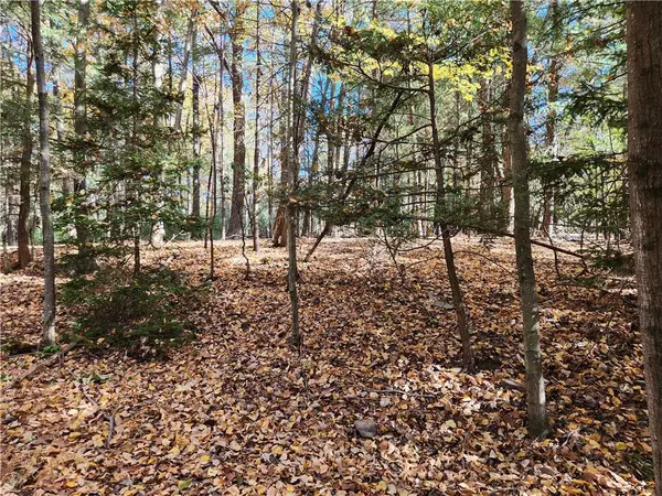 Mongul Circle #Lot 25, Pocono Twp, PA 18332