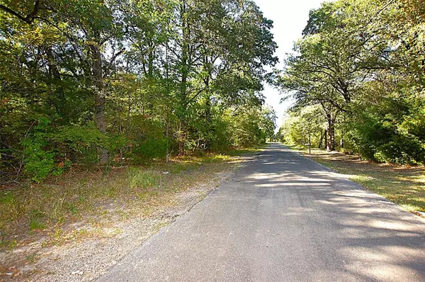 Trinidad, TX 75163,0 E Beachwood Loop