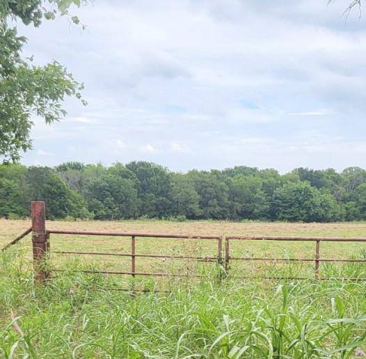 TBD Bee Creek Road, Grandview, TX 76050